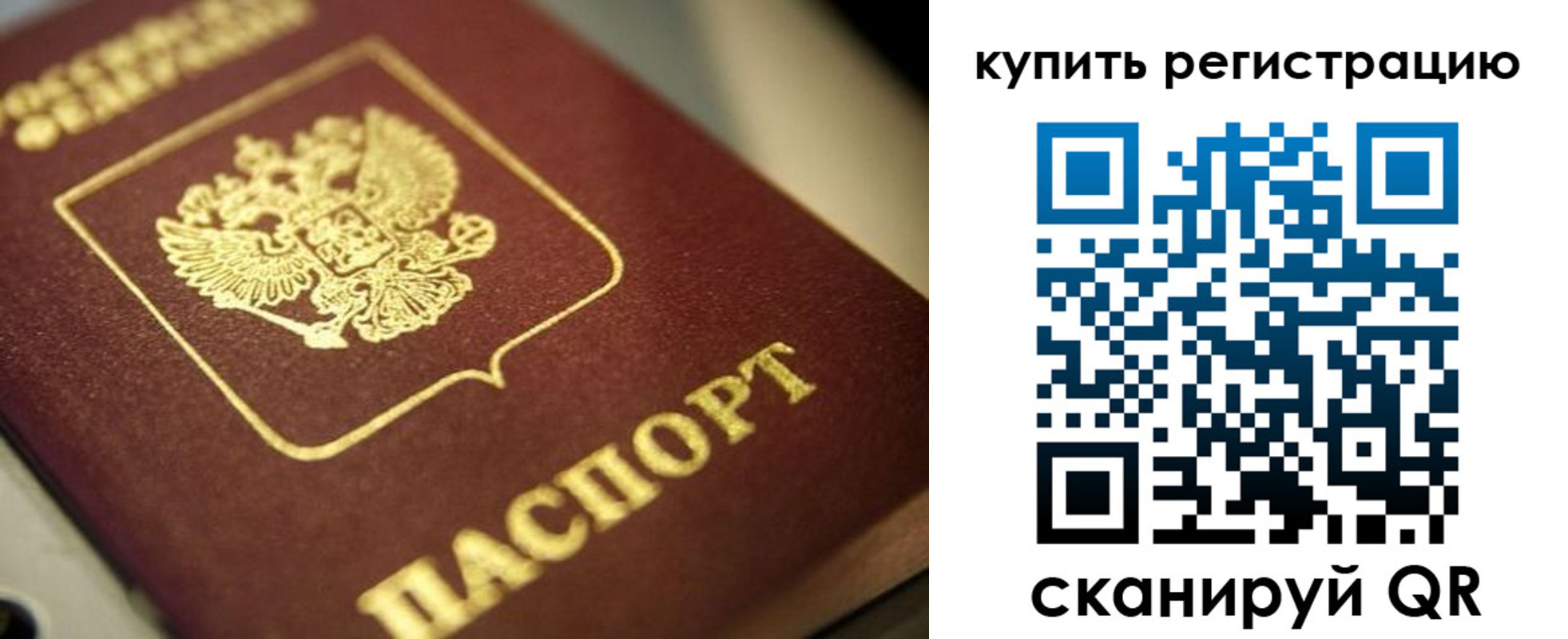 прописка для школы в Кировске